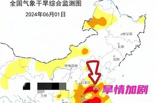 开云官方网站入口登录网址查询